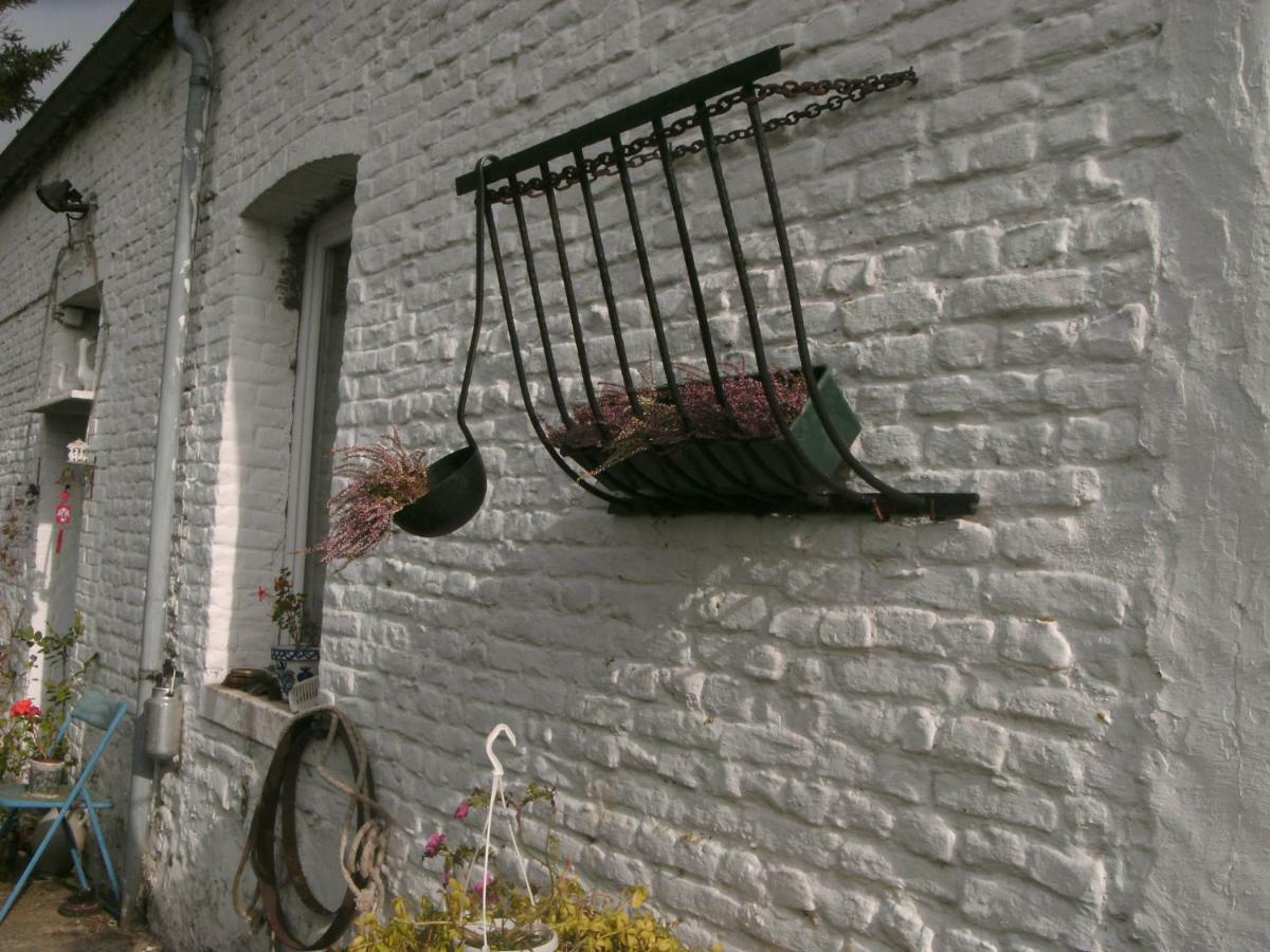 Ferme Lenfant Guest House Ville-Pommeroeul Exterior photo